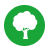 Icone Arbre
